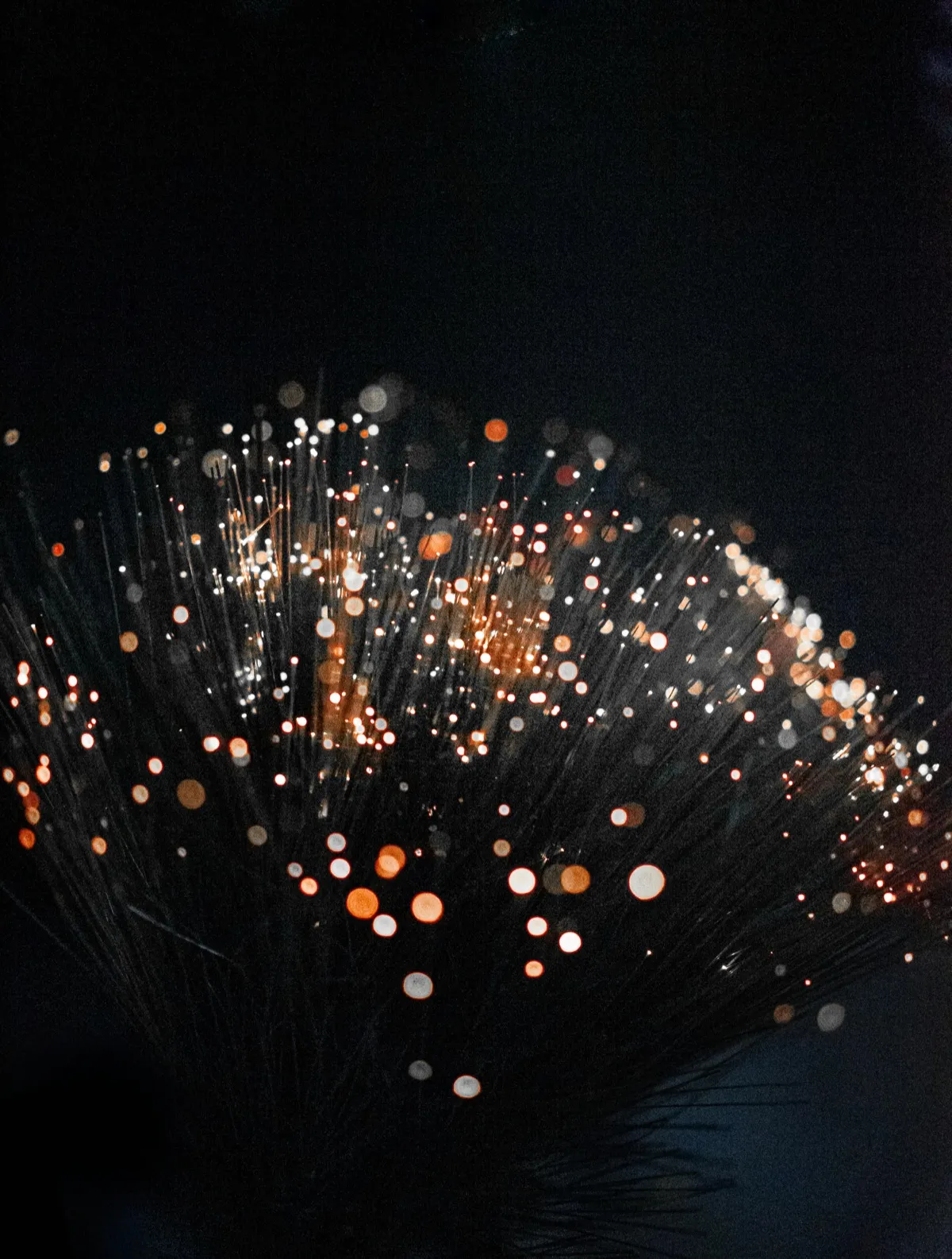 Fiber optic strands with light glowing at their tips.